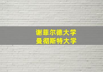 谢菲尔德大学 曼彻斯特大学